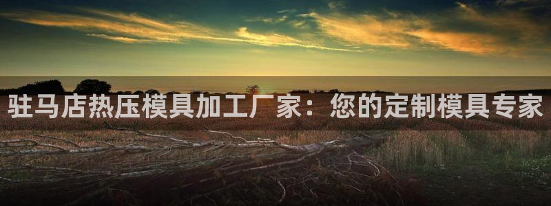 易倍纤奶昔减肥效果怎么样：驻马店热压模具加工厂家：您的定