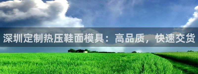 emc 倍频：深圳定制热压鞋面模具：高品质，快速交货