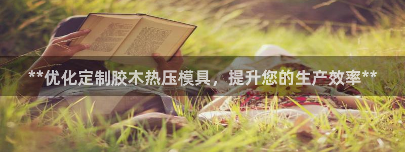 易倍达科技有限公司官网：**优化定制胶木热压模具，提升您