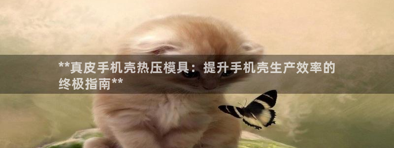 emc易倍黑吗：**真皮手机壳热压模具：提升手机壳生产效