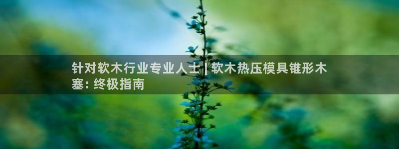 emc频率：针对软木行业专业人士 | 软木热压模具锥形木