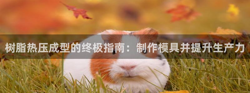 emc易倍官方平台：树脂热压成型的终极指南：制作模具并提