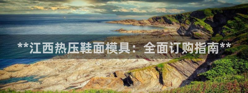 易倍申医保报销：**江西热压鞋面模具：全面订购指南**
