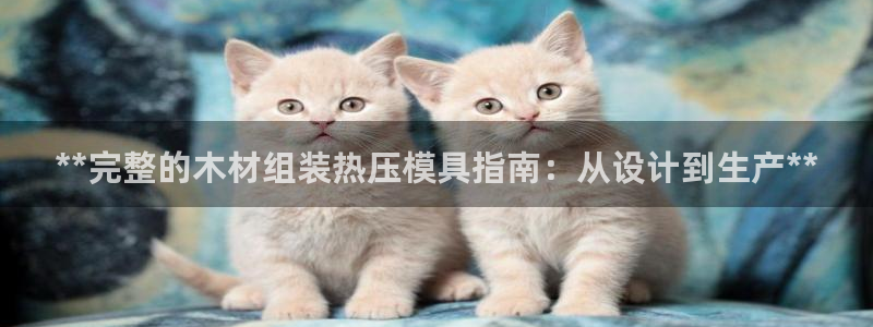 易倍纤能减肥吗：**完整的木材组装热压模具指南：从设计到