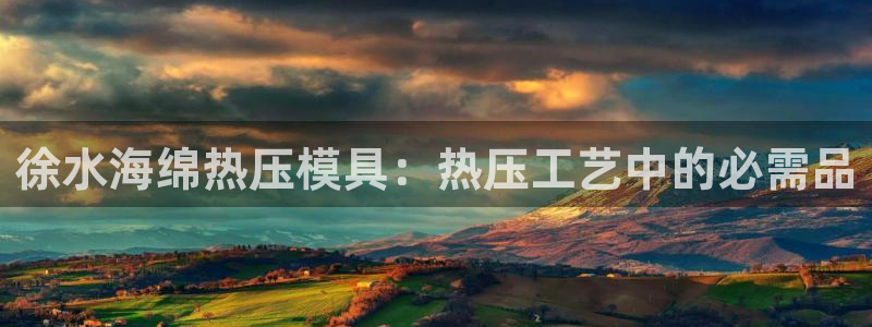 易倍单词app：徐水海绵热压模具：热压工艺中的必需品