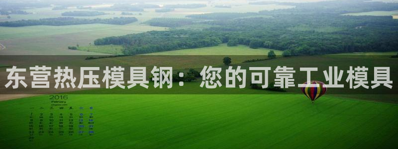 emc易倍官网app下载：东营热压模具钢：您的可靠工业模
