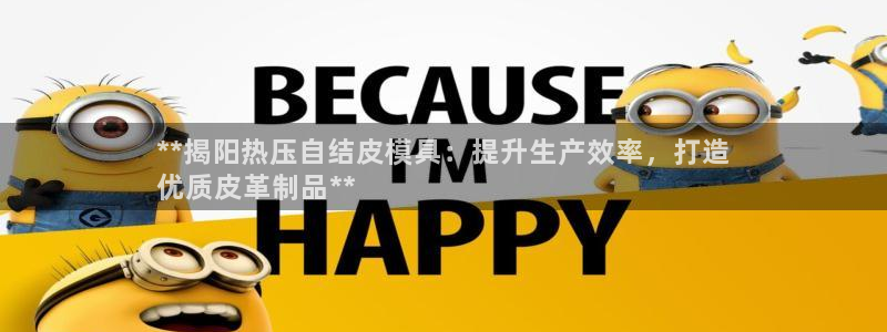 易倍申是进口药吗：**揭阳热压自结皮模具：提升生产效率，
