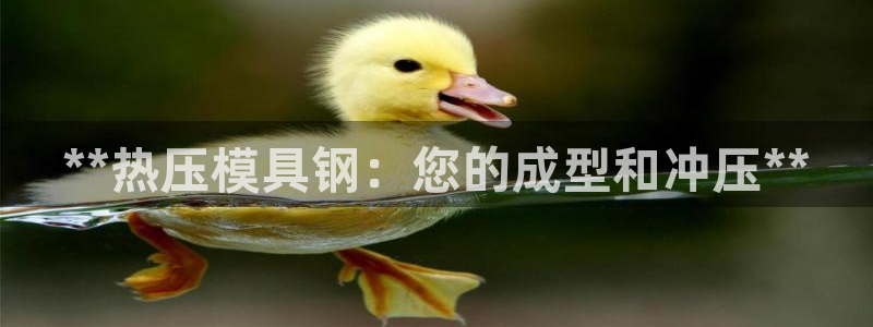emc易倍出空款：**热压模具钢：您的成型和冲压**