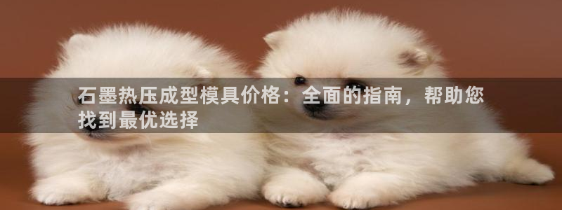上海易倍投资有限公司：石墨热压成型模具价格：全面的指南，