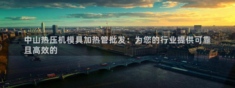 易倍申不良反应：中山热压机模具加热管批发：为您的行业提供