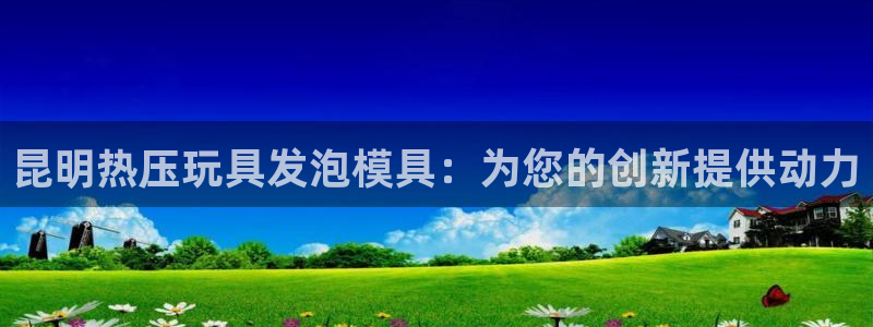 易倍单词app官网：昆明热压玩具发泡模具：为您的创新提供