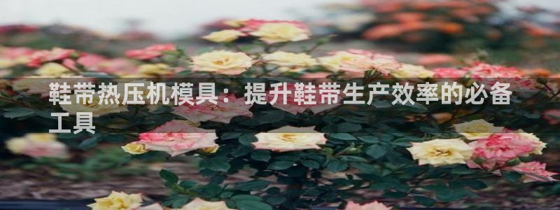 易倍网络技术有限公司怎么样：鞋带热压机模具：提升鞋带生产