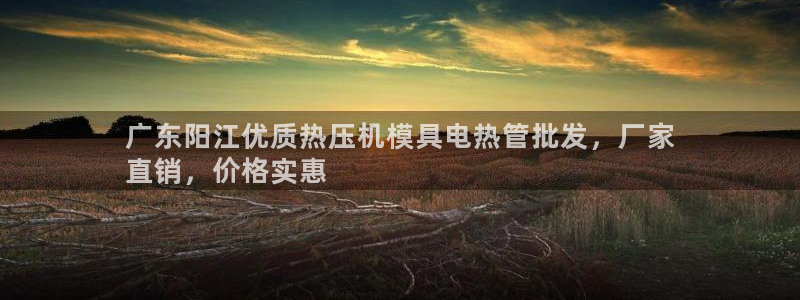 易倍单词平台：广东阳江优质热压机模具电热管批发，厂家
直