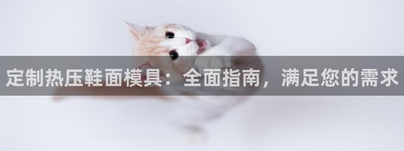 易倍电竞,有球必应：定制热压鞋面模具：全面指南，满足您的