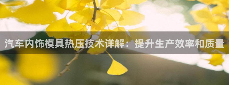 易倍纤瘦身三部曲的价格：汽车内饰模具热压技术详解：提升生