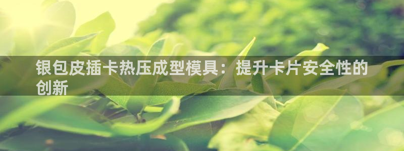 emc易倍官方平：银包皮插卡热压成型模具：提升卡片安全性
