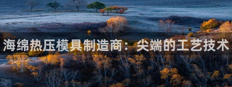 杭州易倍达科技有限公司怎么样：海绵热压模具制造商：尖端的