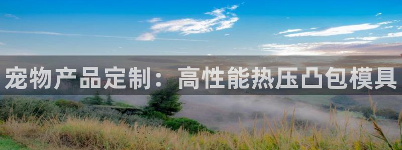 易倍单词官方网站下载：宠物产品定制：高性能热压凸包模具