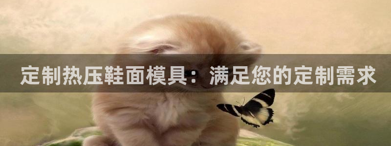 易倍单词app官网： 定制热压鞋面模具：满足您的定制需求