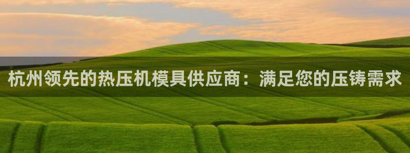 易倍英语官方网站登录：杭州领先的热压机模具供应商：满足您
