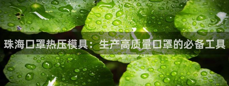 emc登录网站：珠海口罩热压模具：生产高质量口罩的必备工