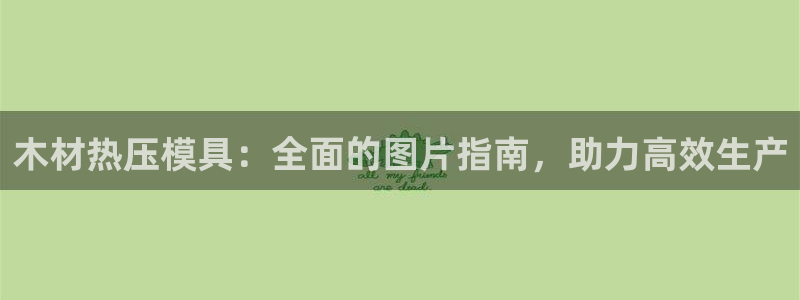 易倍申片：木材热压模具：全面的图片指南，助力高效生产