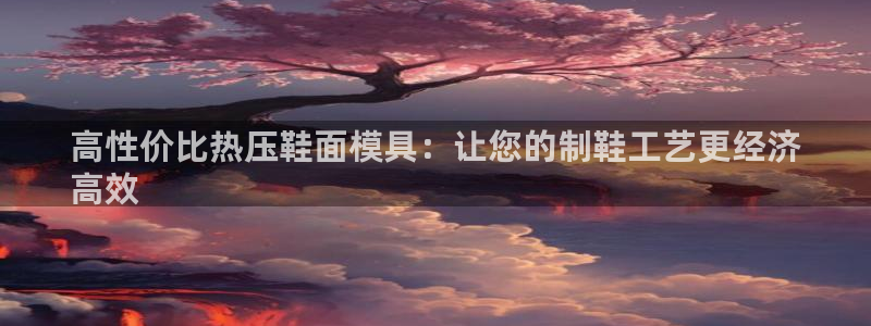 emc服务器是干啥的：高性价比热压鞋面模具：让您的制鞋工