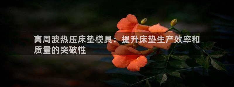易倍网络技术有限公司怎么样：高周波热压床垫模具：提升床垫