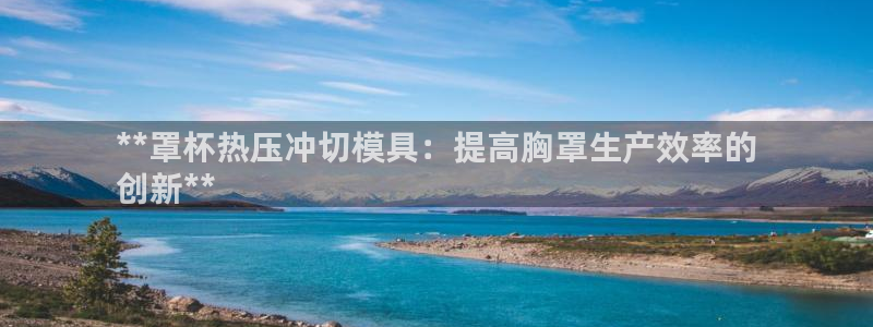 EMC易倍官网招聘：**罩杯热压冲切模具：提高胸罩生产效