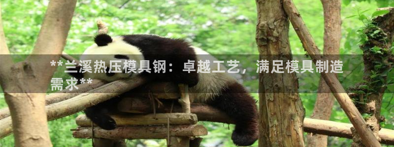 易倍申能长期吃吗：**兰溪热压模具钢：卓越工艺，满足模具