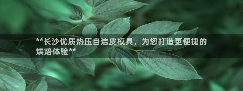 emc备份软件：**长沙优质热压自洁皮模具，为您打造更便