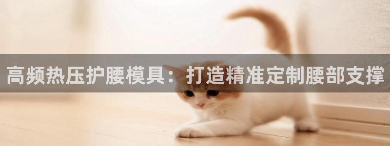 Emc易赔体育：高频热压护腰模具：打造精准定制腰部支撑