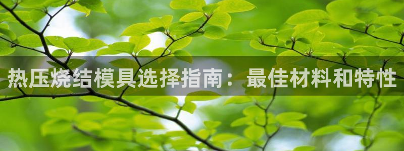 emc倍频只能是奇数倍吗：热压烧结模具选择指南：最佳材料