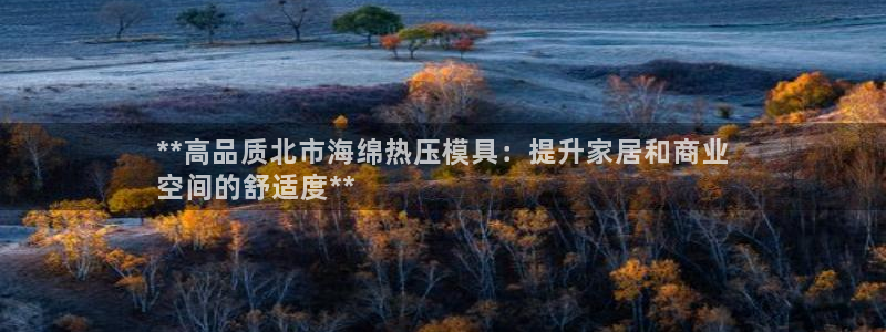 易倍单词官网下载：**高品质北市海绵热压模具：提升家居和