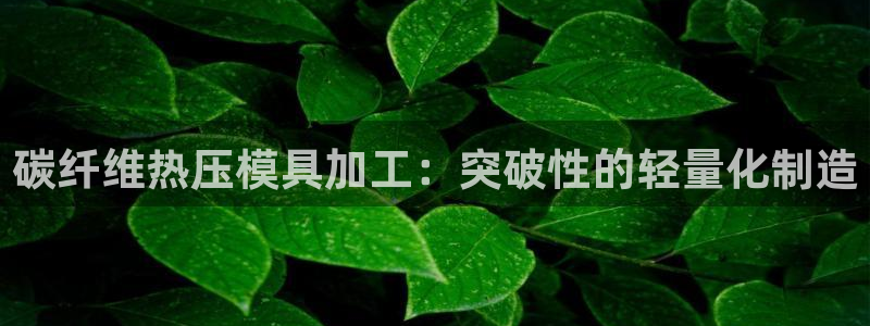 易倍app网站：碳纤维热压模具加工：突破性的轻量化制造