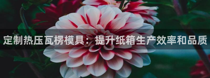 易倍单词如何下载：定制热压瓦楞模具：提升纸箱生产效率和品