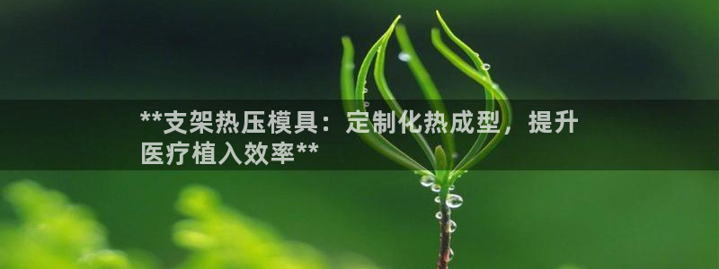 emc易倍平台：**支架热压模具：定制化热成型，提升
医