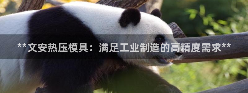 易倍科华生物科技有限公司：**文安热压模具：满足工业制造