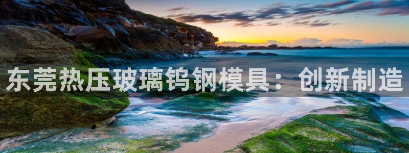 易倍单词官方网站下载安卓：东莞热压玻璃钨钢模具：创新制造