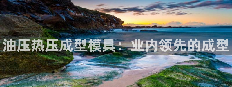 emc倍频干扰怎么解决：油压热压成型模具：业内领先的成型