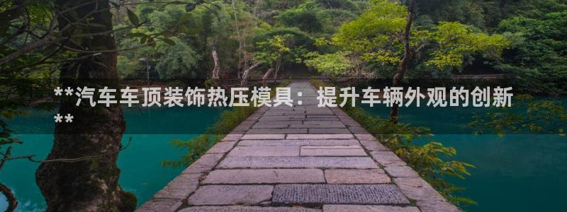 EMC易倍让身份验证：**汽车车顶装饰热压模具：提升车辆