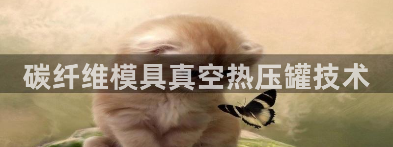 emc易倍官方平台：碳纤维模具真空热压罐技术