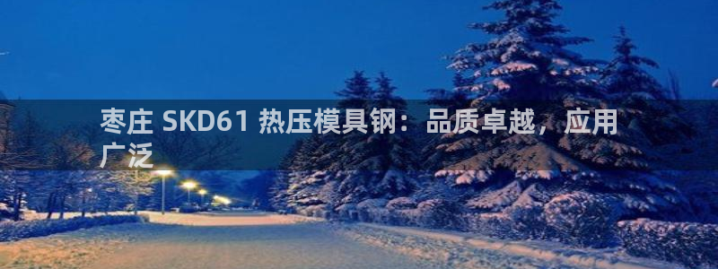 emc全站下载：枣庄 SKD61 热压模具钢：品质卓越，