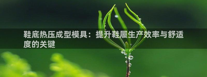 emc 倍频：鞋底热压成型模具：提升鞋履生产效率与舒适

