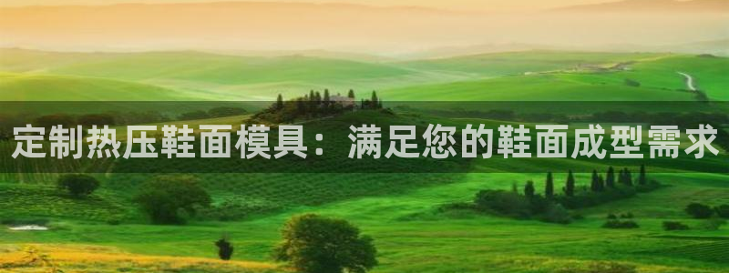 emc易倍app官网下载：定制热压鞋面模具：满足您的鞋面