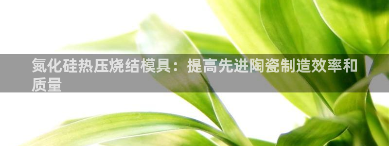 EMC易倍官方网址：氮化硅热压烧结模具：提高先进陶瓷制造