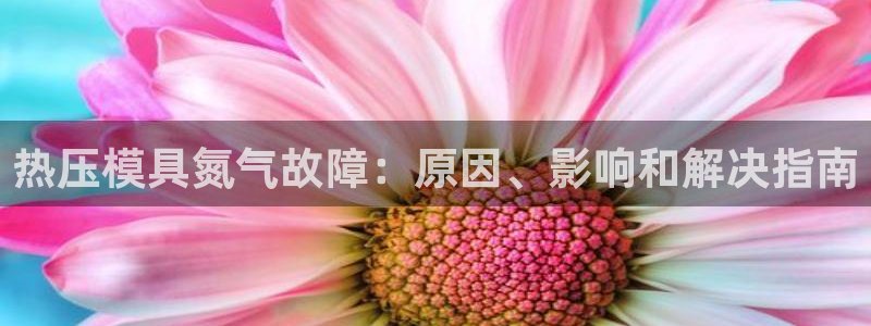 EMC易倍让身份验证：热压模具氮气故障：原因、影响和解决