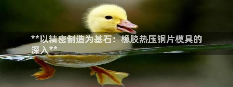 易倍app官网下载安装：**以精密制造为基石：橡胶热压钢