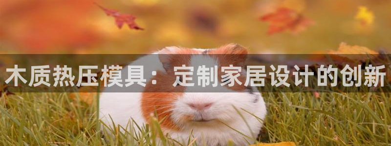 emc低频不过：木质热压模具：定制家居设计的创新