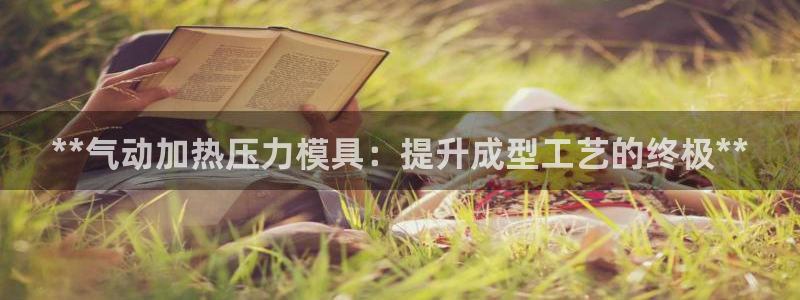 emc倍频：**气动加热压力模具：提升成型工艺的终极**